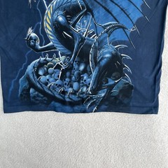 VTG The Mountain Dragon Shirt Mens Medium Tank Top Blue Skulls Fantasy NEW
