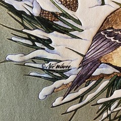 Vtg Cal Cru Tee Shirt Sage Green 90s Single Stitch Birds Winter Sz M USA Made
