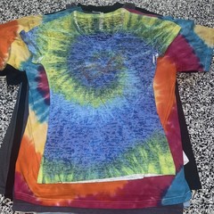 Wholesale Lot Of 14 Various Sizes Vintage Destination T-shirts (41)