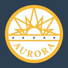 Aurora US City Flag Basic Cotton T-Shirt – Navy