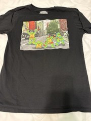Nickelodeon TMNT Men’s Black Crew Neck Short Sleeve Graphic T-Shirt L/G