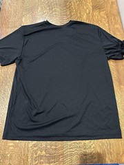 Motivation Workout And Gym Quotes Lion Mindset Training Gift Black 2XL T-Shirt