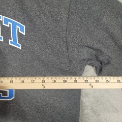 Detroit Lions T-Shirt Mens Large Gray Long Sleeve Graphic Tee NFL Team Apparel