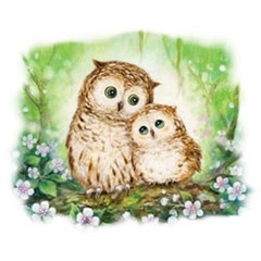 Owls in Green Forest Shimmer 7 X 8 Small Design Tshirt Sizes/Colors