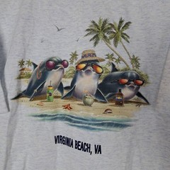 Vintage Virginia Beach T-Shirt Mens XL Gray Cal Cru SS Dolphin Single Stitch USA
