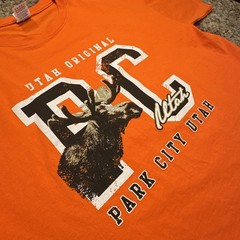 Park City Utah Graphic T Shirt Mens Orange Large