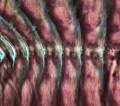 Roll Fold Ice Tie Dye T-Shirt, Unisex M SS Crew, Reddish Purple Wave