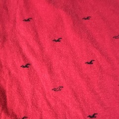 Hollister Must-Have Collection Red Logo Crew Neck Short Sleeve Cotton Tee XS