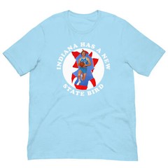 Indiana Has A New State Larry Bird College Tee Shirt Unisex t-shirt