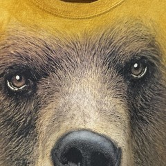 Vintage The Mountain UC Berkeley Cal Bears OHT Big Face T Shirt 2XL