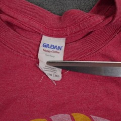 Summerfest Milwaukee T Shirt Gildan Mens 2XL Red Graphic Festival Music Beer