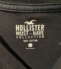 MEN’S Hollister Must-Have Collection Bird Logo Short Sleeve T-Shirt- LARGE