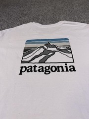 Patagonia Shirt Mens XL White Mountain Logo Graphic Pocket Tee Regular Fit