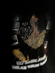 GILDAN SZA Graphic Black Rap Tee Style R&B Singer Sit Back And Relax Your Mind
