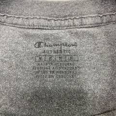 Champion Mens T Shirt sz M Gray Short Sleeve Crew Neck Minimalist Streetwear