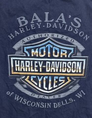 Vintage Harley Davidson 2005 Flames & Skulls Shirt Double Sided Made USA Sz Med