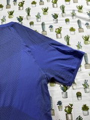 Gymshark Apex Seamless T-Shirt Men’s Size XXL Court Blue Shirt Sleeve A1A8T