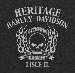 Harley Davidson T-Shirt Cowboy Skull Flames Men’s Large Biker Illinois