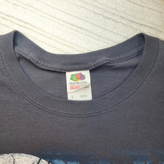 Wolf Moon Nature Graphic NEW Shirt Gray Mens Large Wilderness Fruit Of The Loom