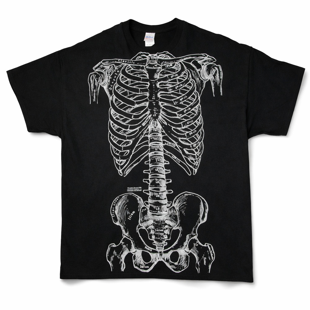 Leslie Arwin Skeletal System 2XL Double Sided T Shirt Anatomy Science Medical