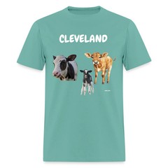 CAVS
