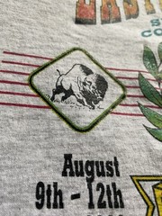 Vtg Swimming Competition T Shirt Eastern zone Buffalo NY 90s Y2K 2000 Star Swim