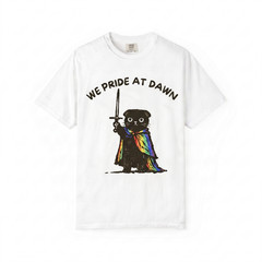 We Pride at Dawn Black Cat Warrior Meme LGBTQ Ally Pride Month Unisex T Shirt