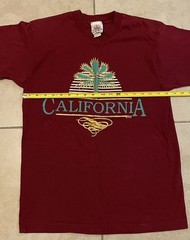 Vtg 80s California Palm Tree Faded Shirt M USA Art Beach Surf Grunge OP TC 90s