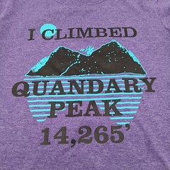 Gildan T Shirt Mens Small Purple I Climbed Quandary Peak Graphic Tee