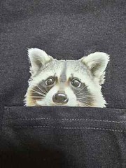 Funny Raccoon Shirt – Humor Raccoon Hidden Middle Finger Pocket – Raccoon