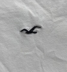 Hollister Must Have Collection White T Shirt Crew Neck Short Sleeve 100% Cotton