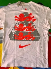 M Nike Palace England Tee White FIFA World Cup football 2026 lions triferg messi