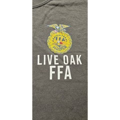 Gildan Live Oak FFA Louisiana T-Shirt Mens XL Gray Heavy Cotton Graphic Tee