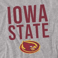 Iowa State University Adult T-Shirt Stacked, Athletic Heather, S-5XL