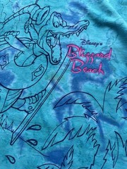 Vintage 90’s Disney Blizzard Beach All-Over Print Tie-dye Blue Size XL