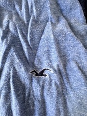 Hollister California Men’s Size Large L Blue LS Baseball Style Tshirt