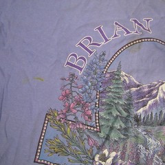 Vintage Brian Head Shirt Mens XL Prairie Mountain Made USA Nature Graphic 90s