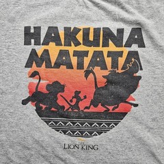 Delta Apparel Inc Men’s XL Hakuna Matata Gray T-Shirt