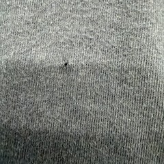 Hollister Must-have Collection T-shirt Men Black Logo 100% Cotton .#48041