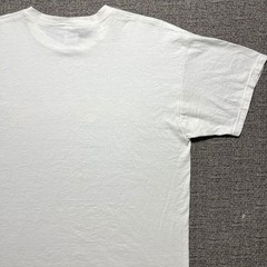 Vintage Fruit Of The Loom Bar Harbor Maine Dolphin Shirt XL Nature Graphic Tee
