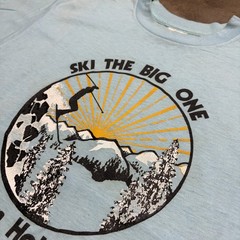 Vintage 80s Jackson Hole Wyoming T Shirt Men M Blue Ski Outdoor Nature Art USA