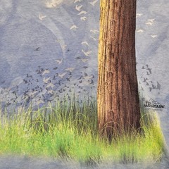 VTG AOP The Mountain T-Shirt Tie Dye Birds on Tree Branch Unisex Adult Size 2XL
