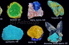 ULTIMATE MINERAL GUIDE-Rocks Gem Stones Geology Earth Science T shirt S-3XL NEW!