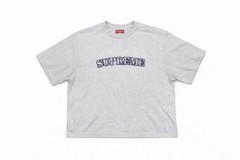Vintage Supreme Cropped Floral Arc Logo T Shirt Ash Gray Men’s Medium