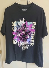 Black Panther Warrior King Marvel Comics Men’s Avengers T-Shirt Size Large