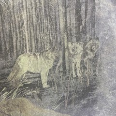 Vintage Wolf Shirt Lg Acid wash Single stitch Grunge outdoors Animals Hanes PFD