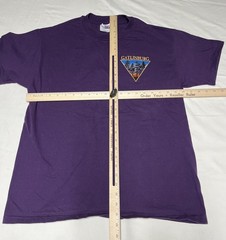 Vintage Gatlinburg Shirt Mens Large Purple Work Sucks Mountains Hanes 90s
