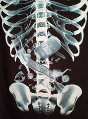 Delta Pro Weight X-RAY T-SHIRT Adult 2X, 100% Preshrunk Cotton, Black