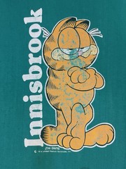 Rare Vintage 1978 Garfield Jim Davies Art Cartoon Comics Innisbrook Velva Sheen