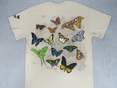 BUTTERFLIES OF THE WORLD-Moths Butterfly Insect Bugs Nature 2-sided T shirt S-XL